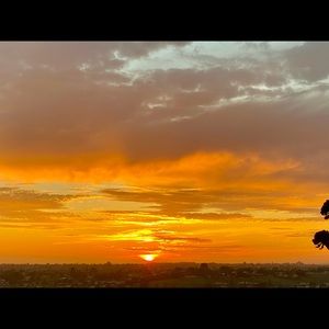 Meet your Posher, Jocey